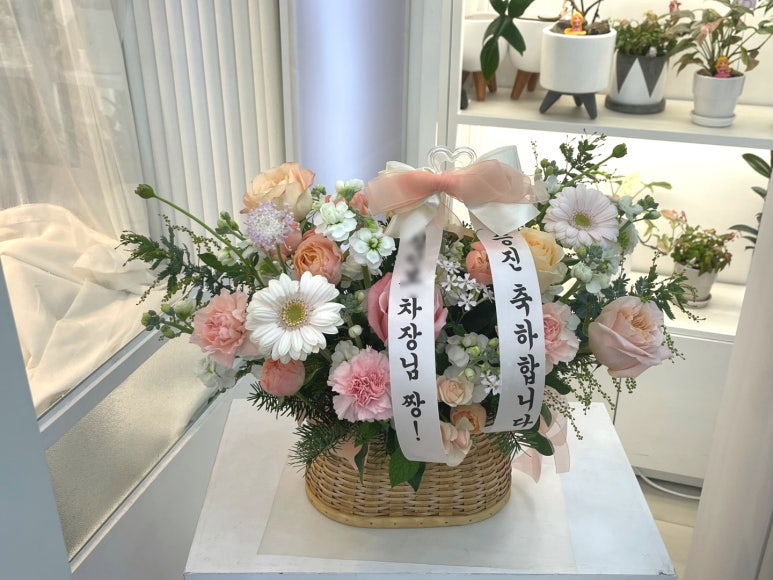 승진샵 이미지
