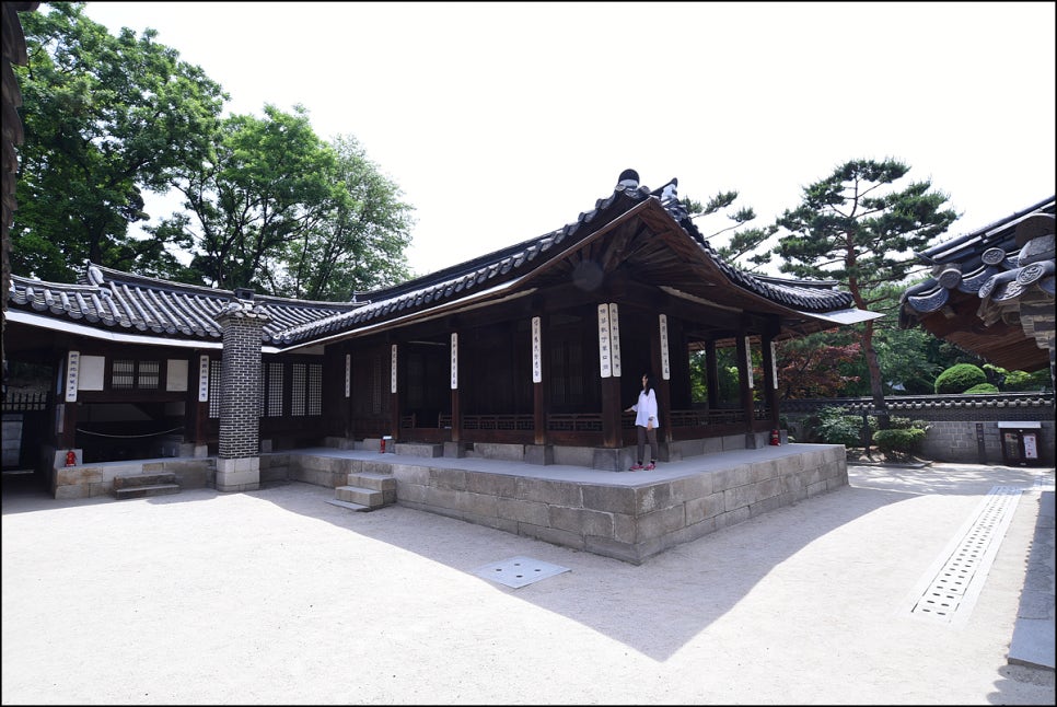 나무꾼조경 이미지