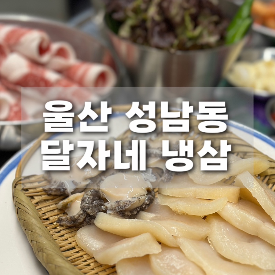 달자네 이미지
