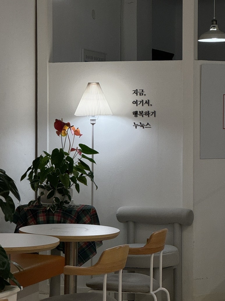 누눅스 이미지