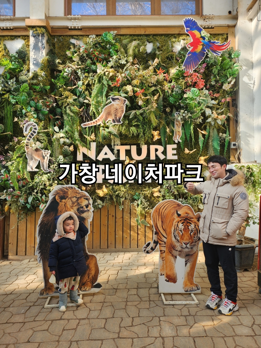 코코네이처 이미지