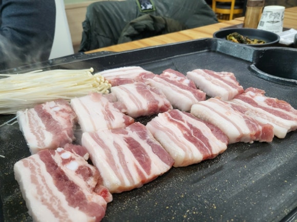 달구씨 이미지