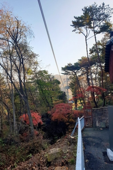 동문밧데리 이미지