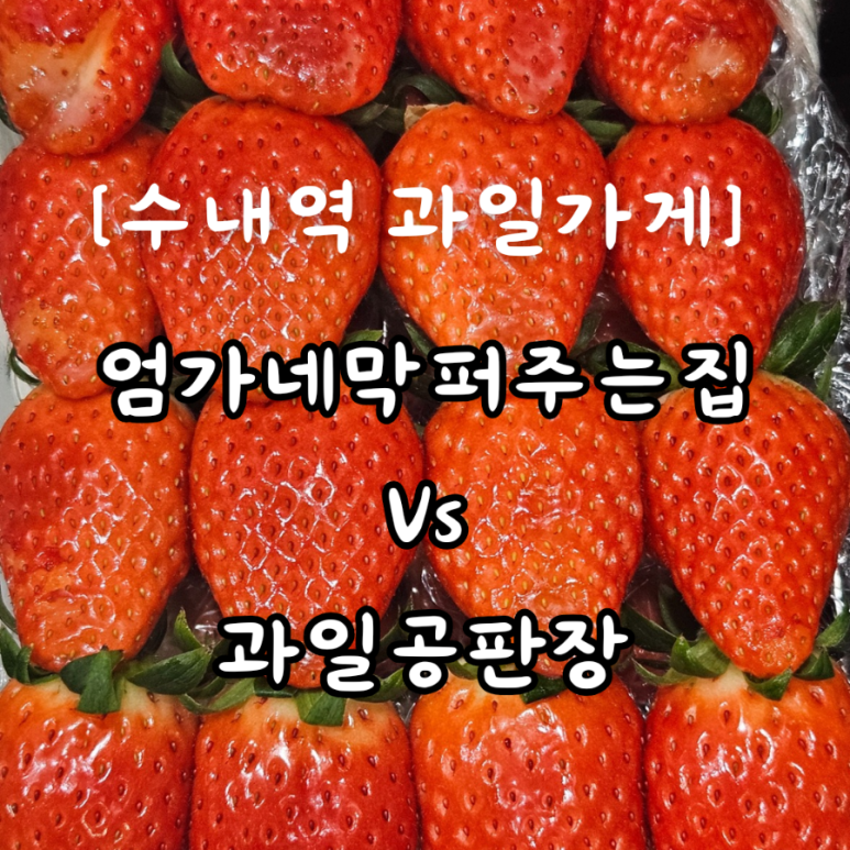엄가네막퍼주는집 이미지