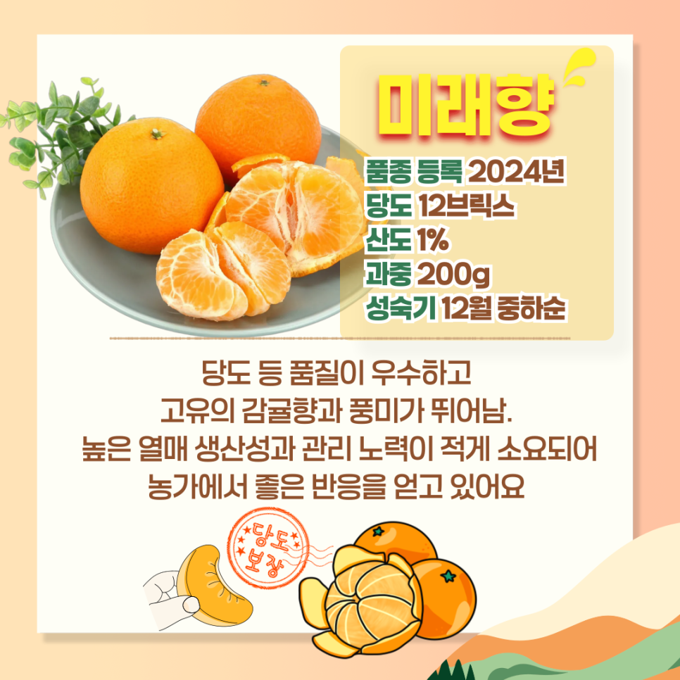 미래향 이미지