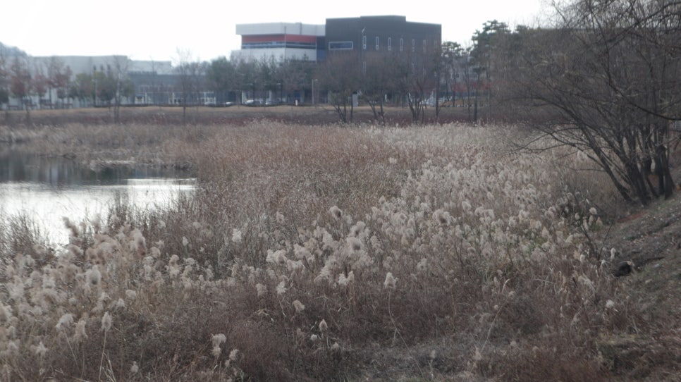 송호지공원 이미지