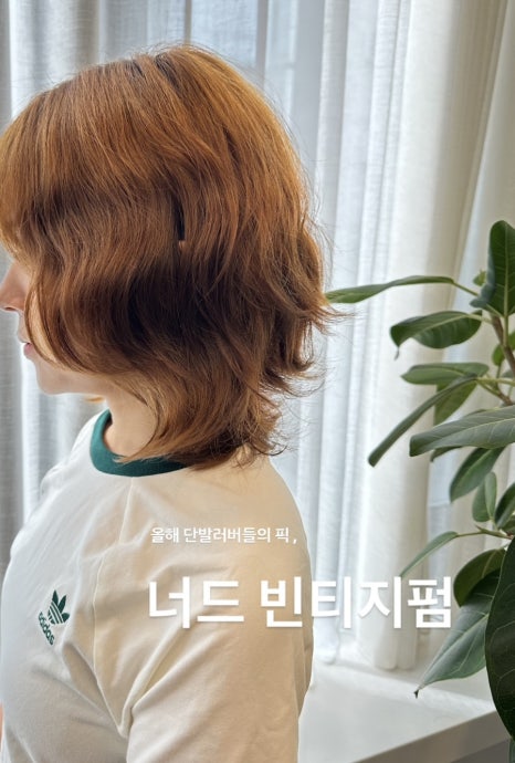 쿠치헤어 이미지