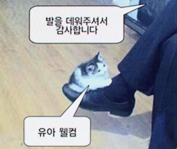 힐링숲에스테틱 이미지