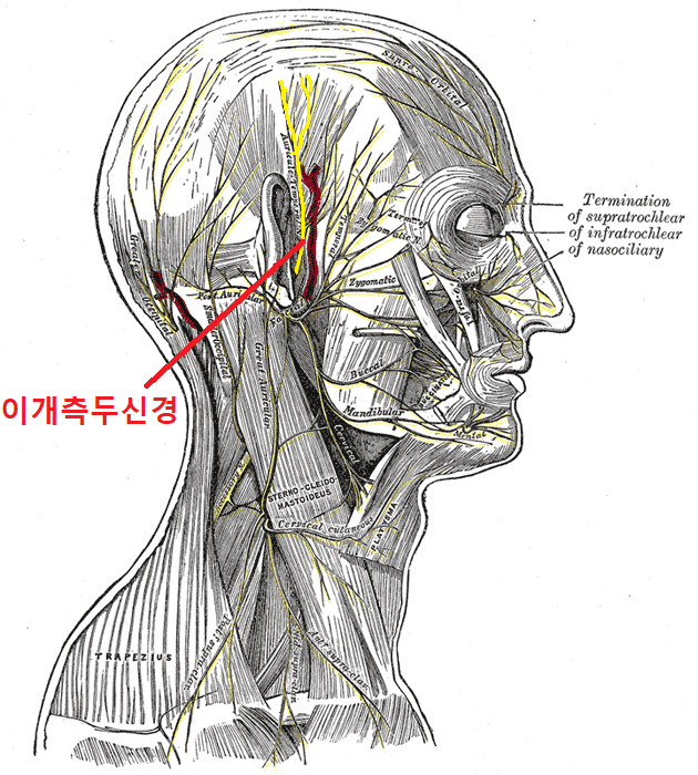 이개의한의원 이미지