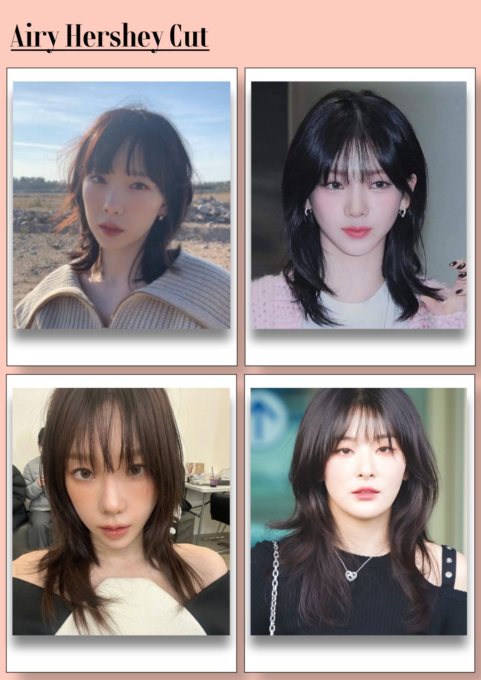 블루컷트 이미지