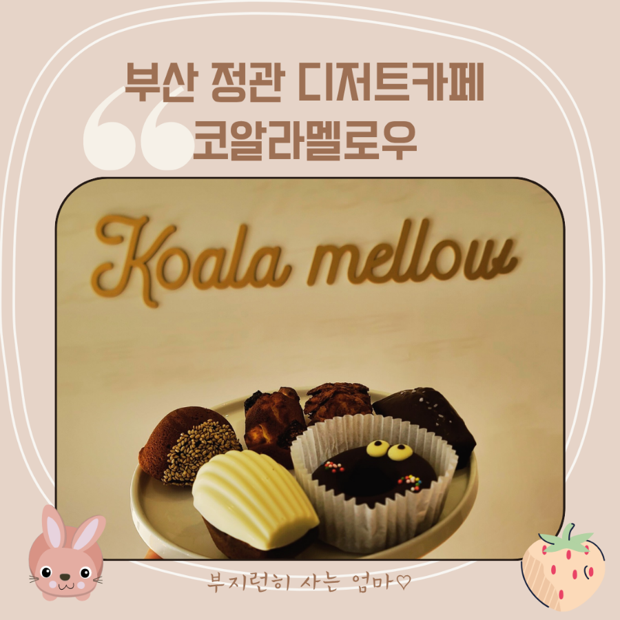 코알라멜로우 이미지