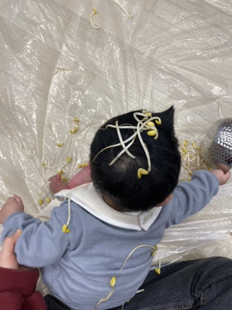 건반위에콩나물 이미지