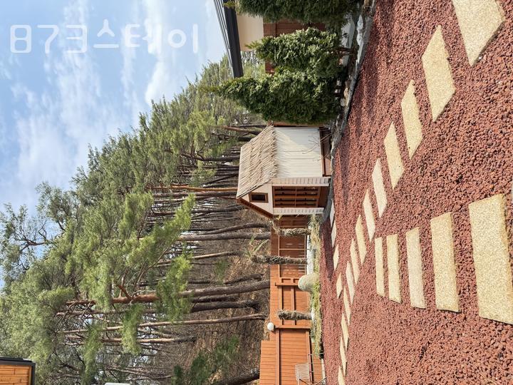 873스테이 이미지