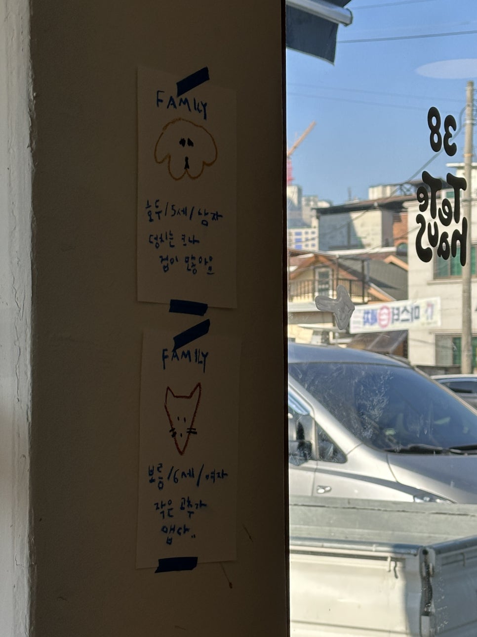 테테하우스 이미지