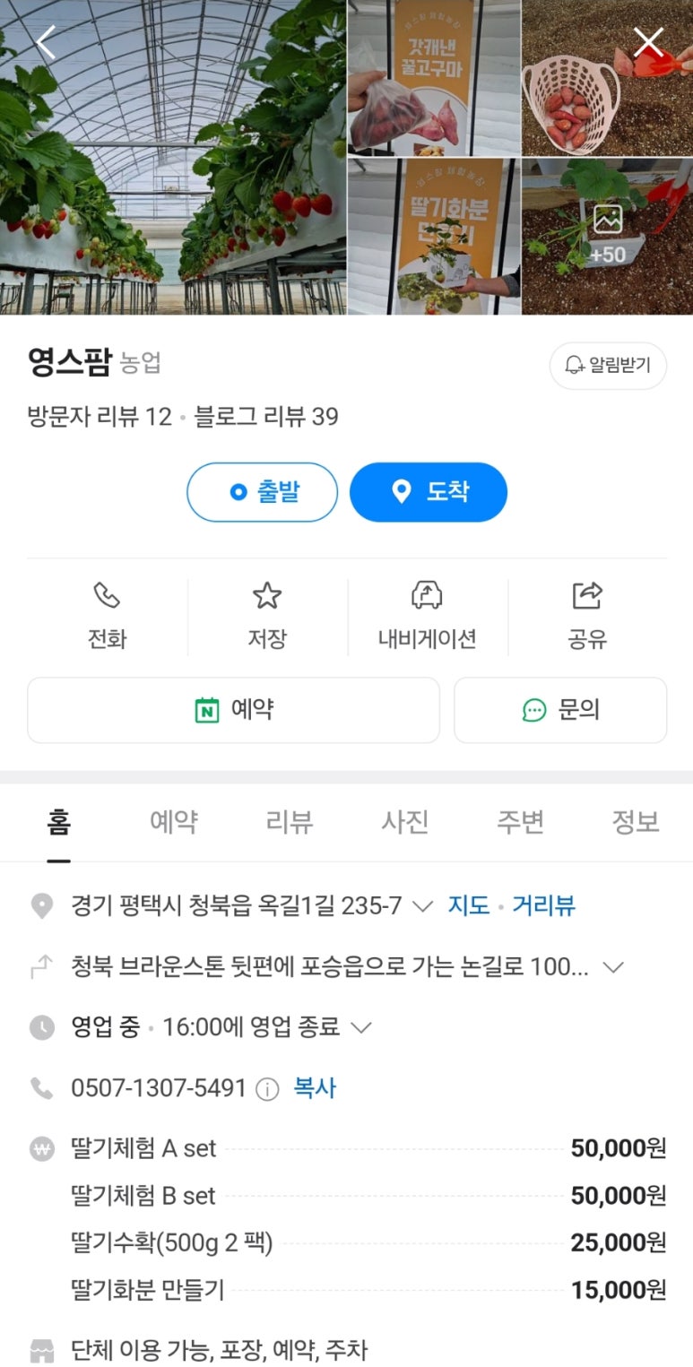 영스팜 이미지