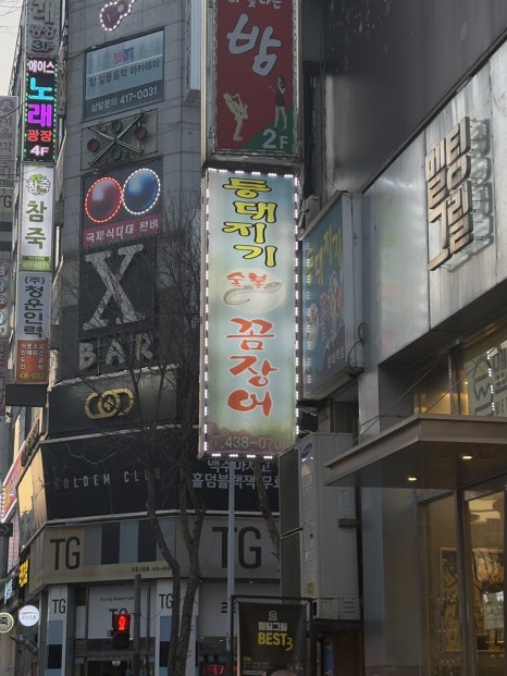 등대지기꼼장어 이미지