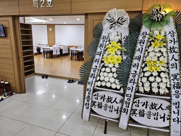 24시꽃 이미지