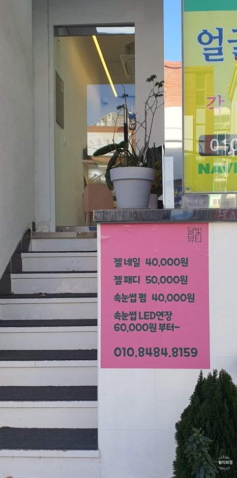 달빛손톱 이미지