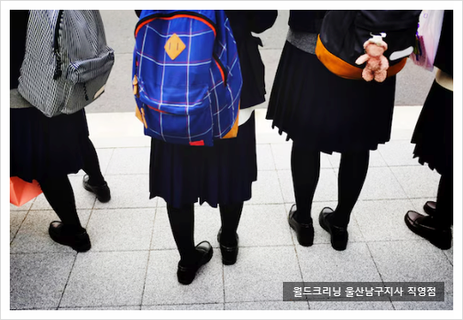 월드크리닝울산 이미지
