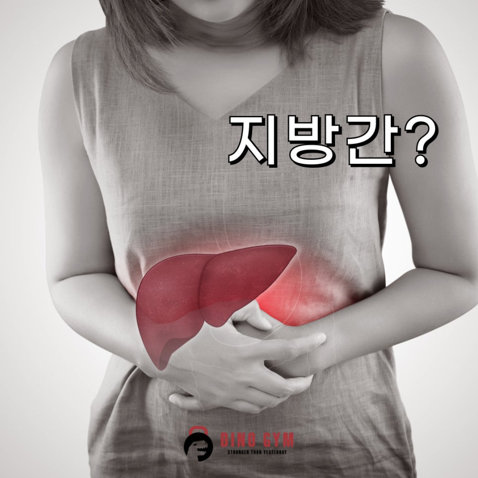 디노짐 이미지