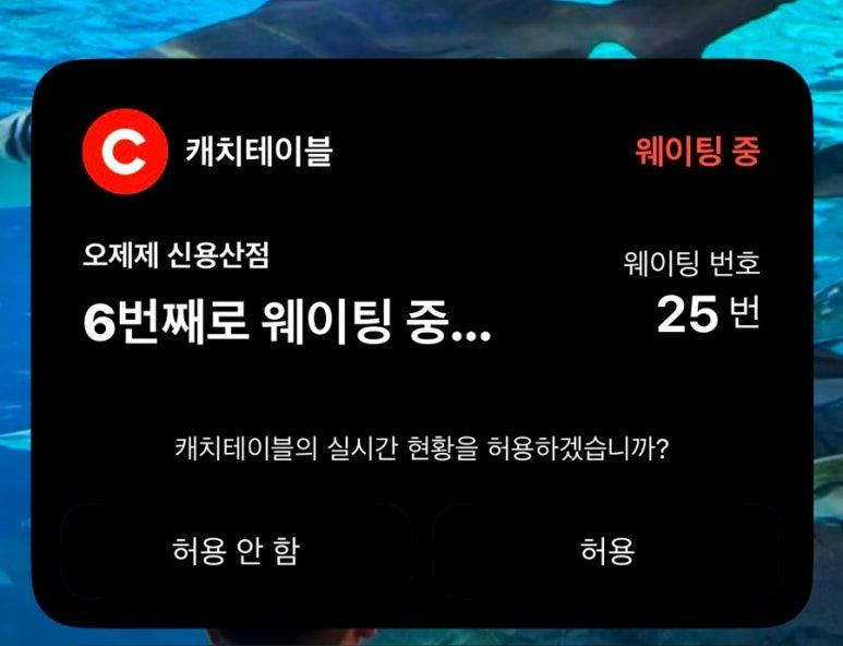 오제제신 이미지