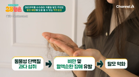 청춘맥주 이미지