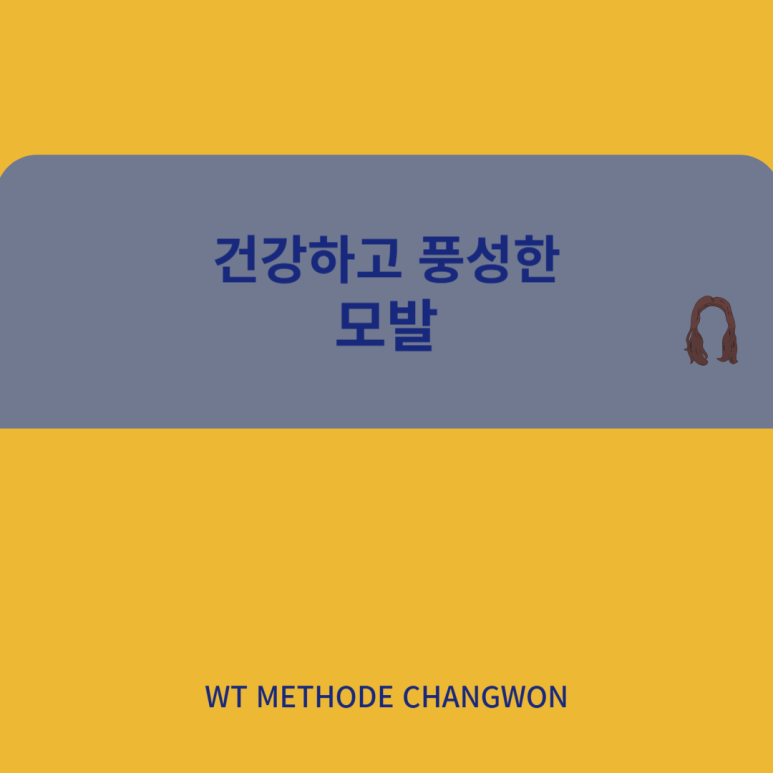 더블유티(WT)메소드 이미지