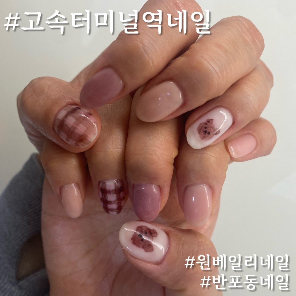 네일리코레푸스 이미지