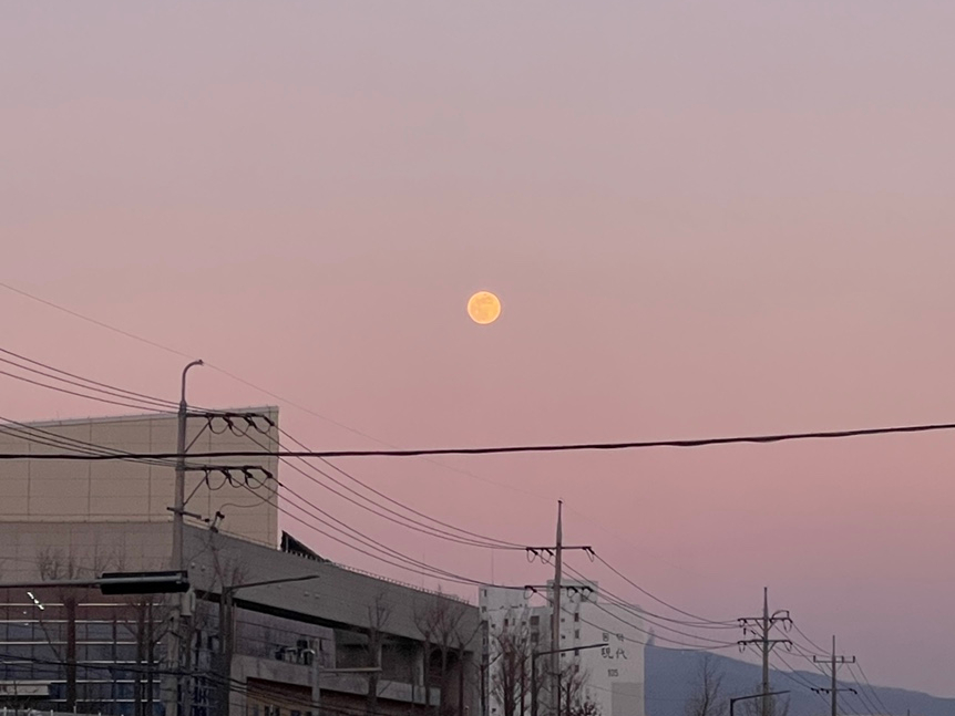 레푸스울산삼산점 이미지