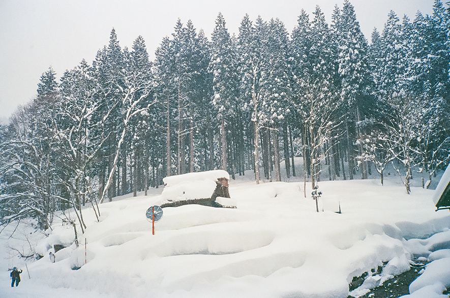 99film 이미지