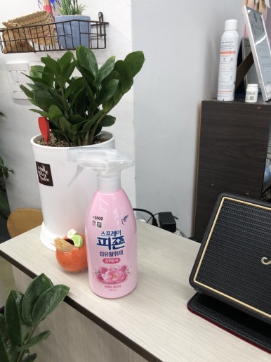 화미가 이미지