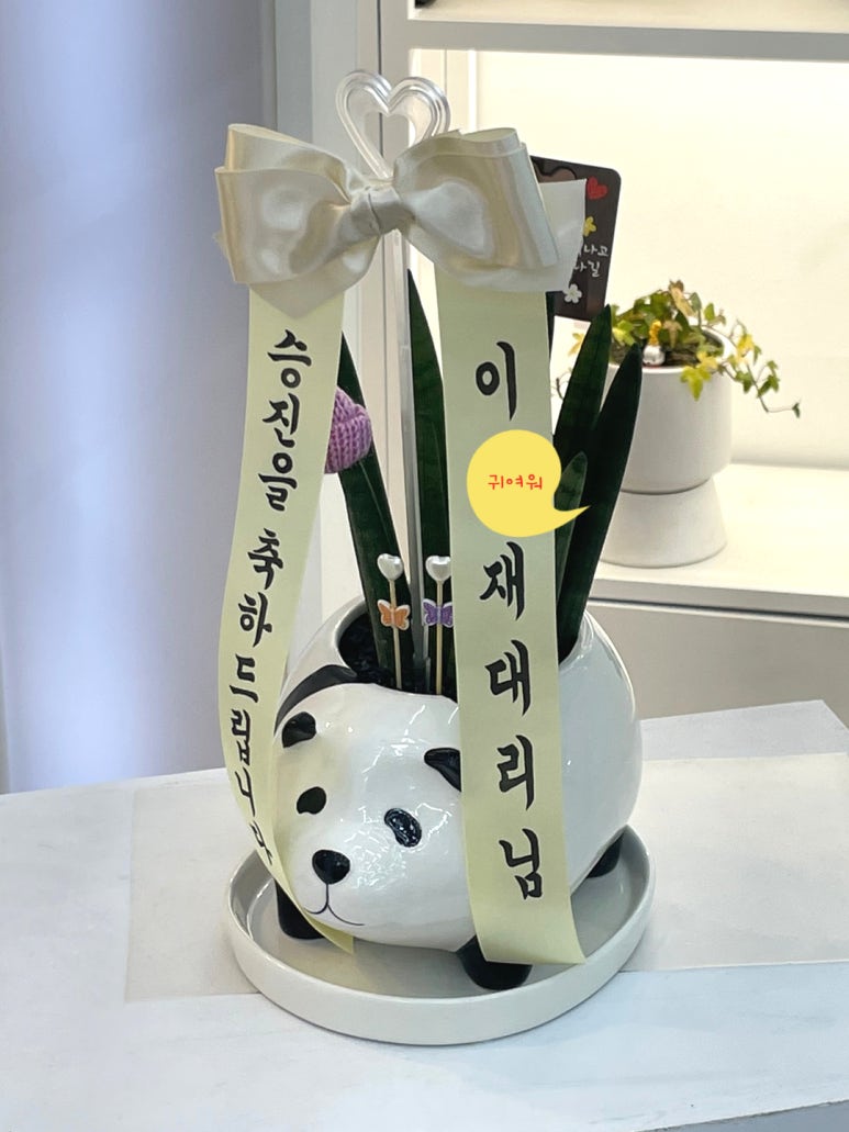승진샵 이미지