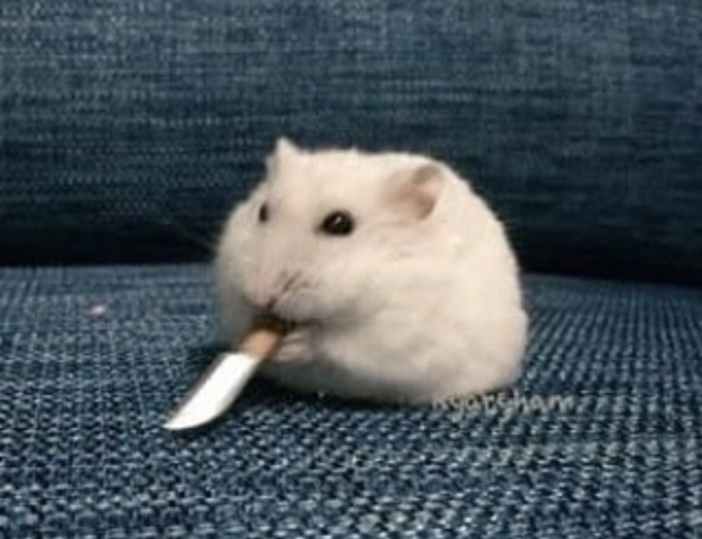 대박인력 이미지