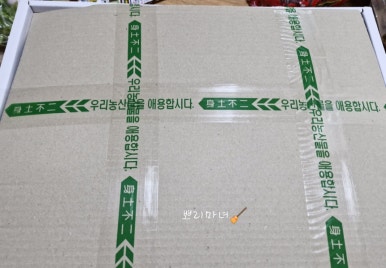 프리미어 농짱 이미지