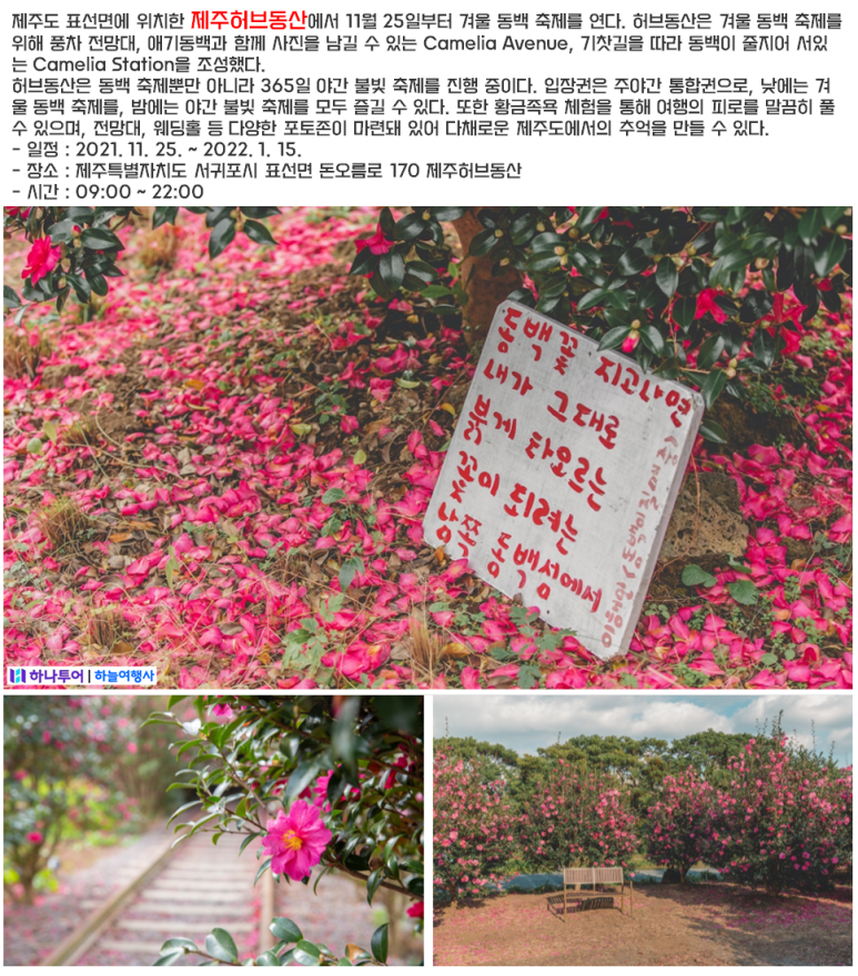동산항공여행사 이미지