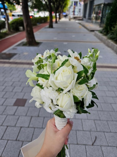 라블레어 이미지