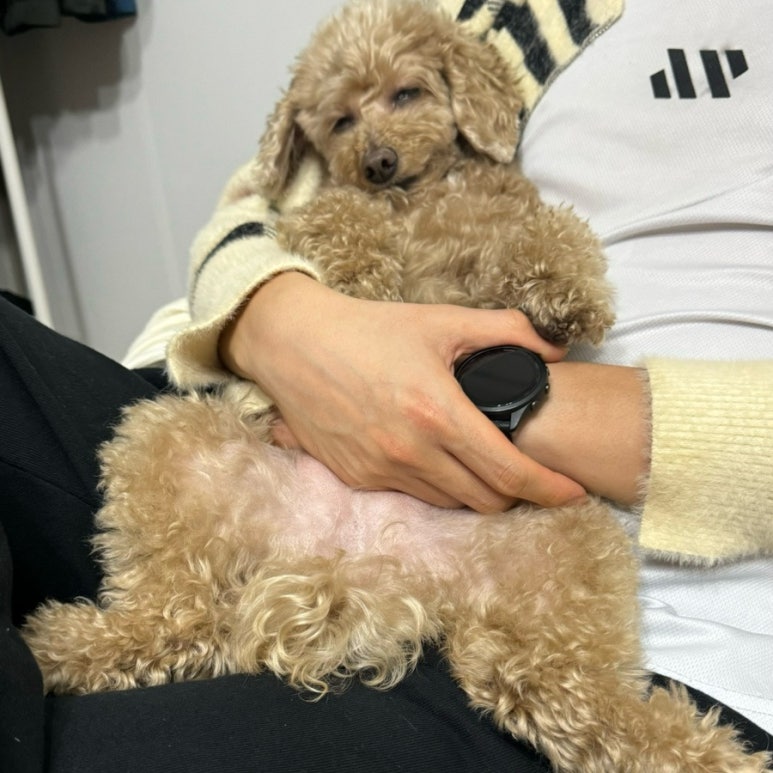 피자소그로 주엽점 이미지
