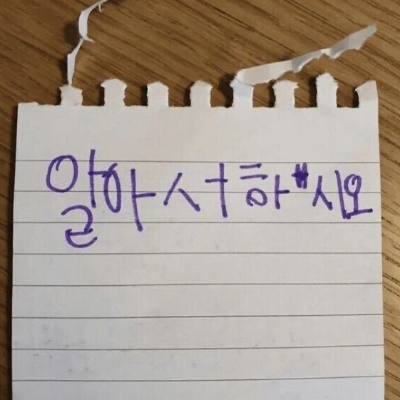무뭉이네 이미지