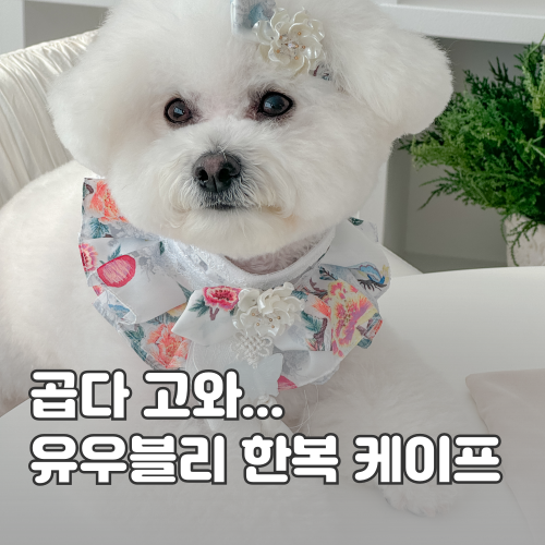 유우블리(U_vely) 이미지