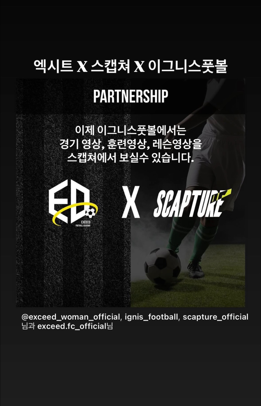 이그니스풋볼 이미지