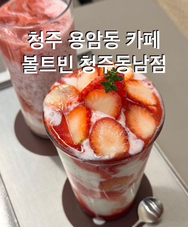 볼트빈 이미지