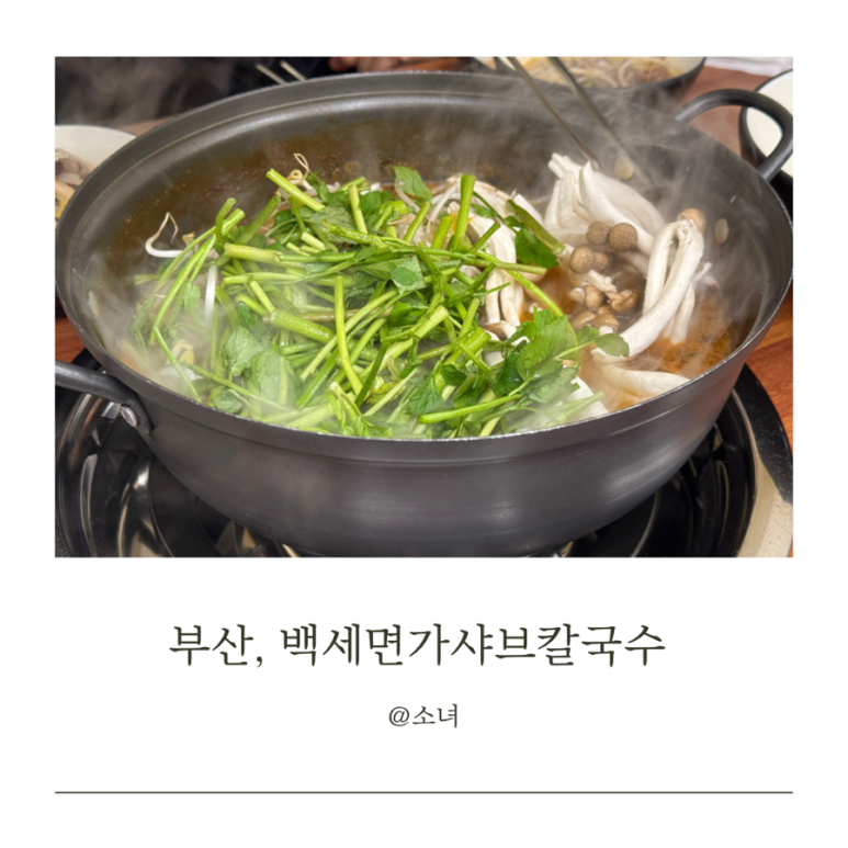 백세면가 샤브 칼국수 이미지