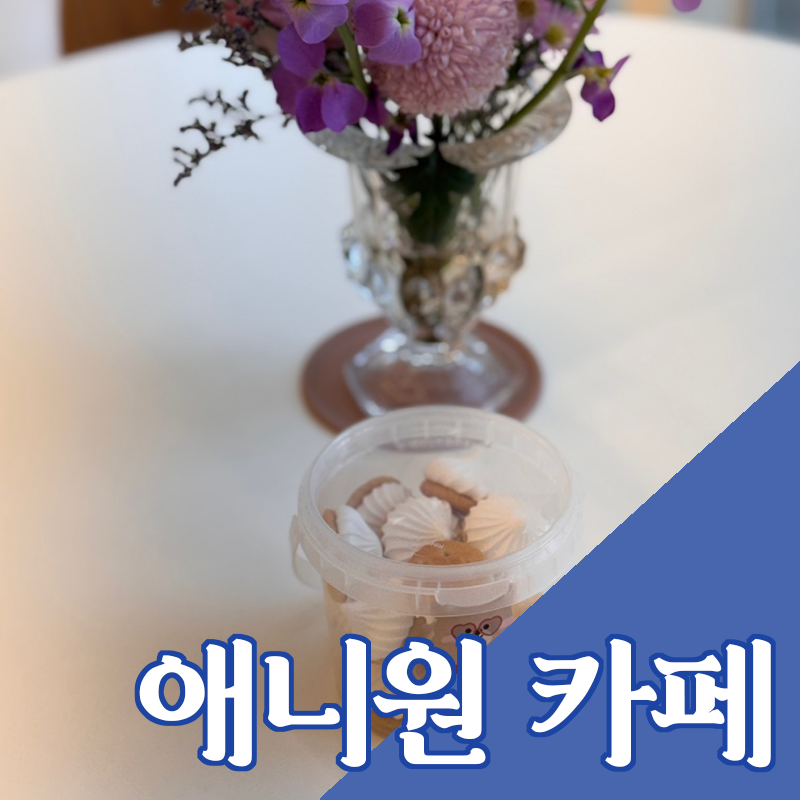 애니원카페 이미지