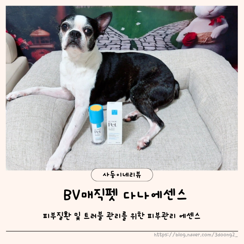 다나펫 이미지