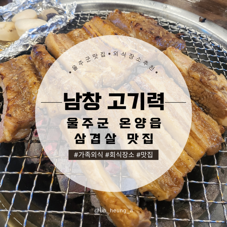 고기력 이미지