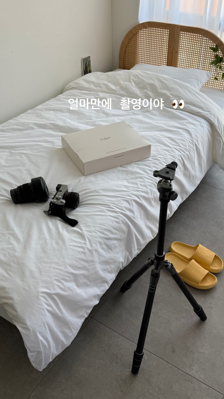 디어니즈 이미지