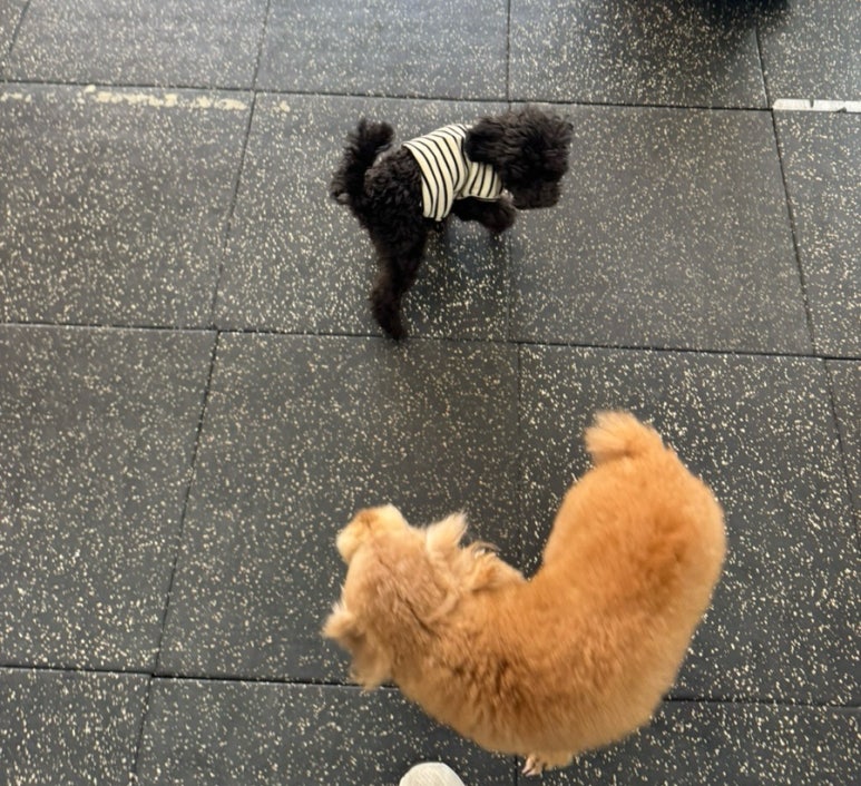 크로스핏헤이 이미지