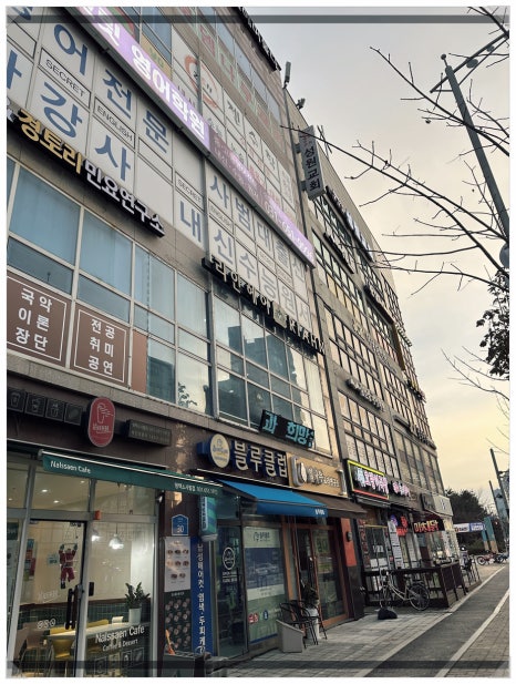 머리하자 이미지