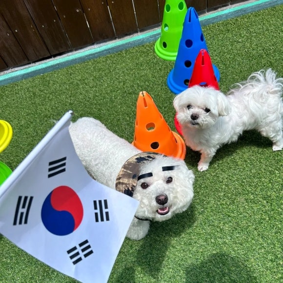 행복한부산맘 이미지