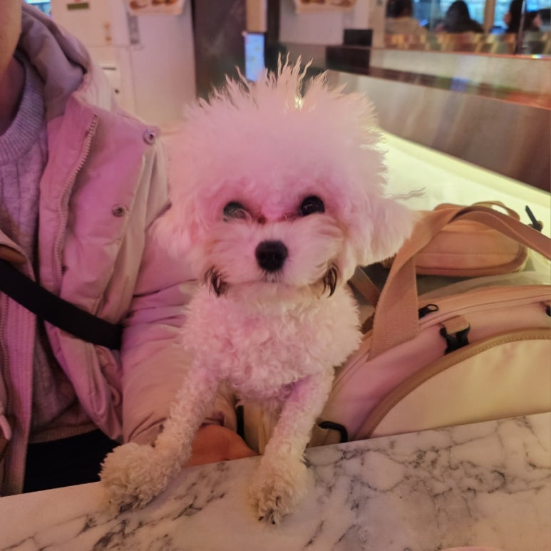발짝 상봉점 이미지